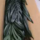 HAIHONG 4.5FT Artificial Palm Tree,Faux Areca Palm Plant with Real Touch Leaves and Adjustable Branches,Fake Tropical Palm Tree for Home Office Indoor Outdoor Modern Decoration
