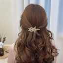 Crystal Star Hair Clip for Woman Paved Cz Star Hair Pins Gold Star Hair Barrettes Rhinestone Star Decorative Hairpin Sparkly Headwear Barrette Vintage Hair Accessories for Teen Girls Gifts (Style:C)