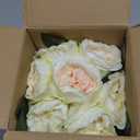 Artificial Peony Silk Flower Centerpieces Faux Floral Arrangement in Glass Vase for Home Wedding Table Decoration (Champagne)