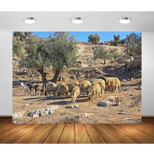 BELECO 7x5ft Fabric Old City Jerusalem Backdrop Sheep Grazing on Mount of Olives, Jerusalem Background Israel Theme Party Decorations Religious Belief Church Decor Photo Booth Studio Props