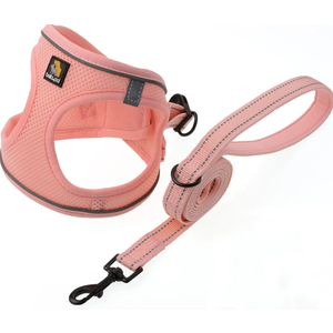 Puppy Harness with Leash Set, Dog Harness for Small Dogs (Pink, Size XS)