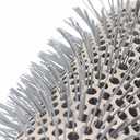 Round Brush Set for Blow Drying Curling, Professional Ceramic Ion Thermal Barrel Brush Leaves Hair Shiny Heat Styling Brush 5 Different Sizes Works Very Well with The Blow Dryer