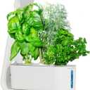 AeroGarden Sprout - Indoor Garden with LED Grow Light, White
