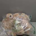 MorisMos 6 Packs Teddy Bears Bulk Stuffed Animals, 14in Small Teddy Bear Plush, Cute Stuffed Bears for Centerpiece Baby Shower Valentines Wedding Birthday, Light Brown