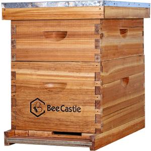 BeeCastle 10-Frames Complete Beehive Kit, 100% Beeswax Coated Bee Hive Includes Beehive Frames and Beeswax Coated Foundation Sheet (2 Layer)