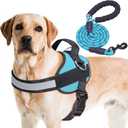 Haapaw Essential Dog Harness, No Pull Pet Vest with 3 Leash Clips, No Choke, Reflective, Adjustable and Padded, for Easy Walking and Training for Large Dogs(L, Blue)