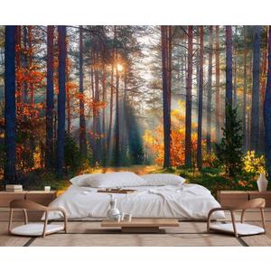 Autumn Sunshine in The Woods Wallpaper, Natural Landscape Mural, Modern Living Room Bedroom Backdrop Wall Mural(Non-self-Adhesive) (149" x 96", 109)