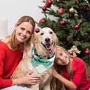 3 x Dog Christmas Bandanas, 2 Pcs Christmas Friends Show Dog Bandanas for Friends TV Show Fans Gifts, Pet Party Costume Accessories Decoration