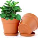 WOUSIWER 16 Pack 6 inch Plastic Planters, Plastic Indoor Planter Flower Pots, Heavy Duty and Stylish 6 Inch Plant Pots for Indoor Plants with Drainage Holes and Tray for Plants, Flowers, Terracotta