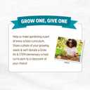 Back to the Roots Organic Vegetable Seeds Variety (5-Pack)