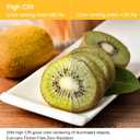 Ascher E12 LED Classic Candelabra Clear Light Bulb, 4W, Equivalent 40W, Warm White 2700K, Non-Dimmable, Filament Clear Glass, Pack of 5