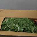 9 FT Christmas Garland Pre-lit 70 LED Lights Holiday Artificial Decor for Stairs Mantle Door Indoor Outdoor Garland with Battery Operated Timer (Green Spruce)