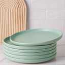 famiware Milkyway Dinner Plates, 10.24 inch Plates for 6, Stoneware Dessert Plates Dish Set for Kitchen, Reactive Glaze Plate Set, Microwave and Dishwasher Safe, Light Green