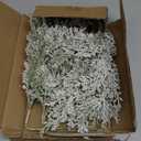 6 Pack Snowy Artificial Cedar Picks Stems Frosted Faux Cedar Spray Christmas Cedar Greenery Branches for Holiday Season Floral Arrangement Centerpiece Winter Wedding Decorations 20" Tall