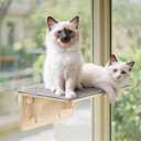 Pecute 2in1 Cat Window Perch & Wall Shelves, Cat Hammock Window with Solid Wood, Strong Suction Cup, Washable Cover Mat, Kitten Window Seat Indoor, Cats Perch Bed for Birds Watching Inside,16"x10"