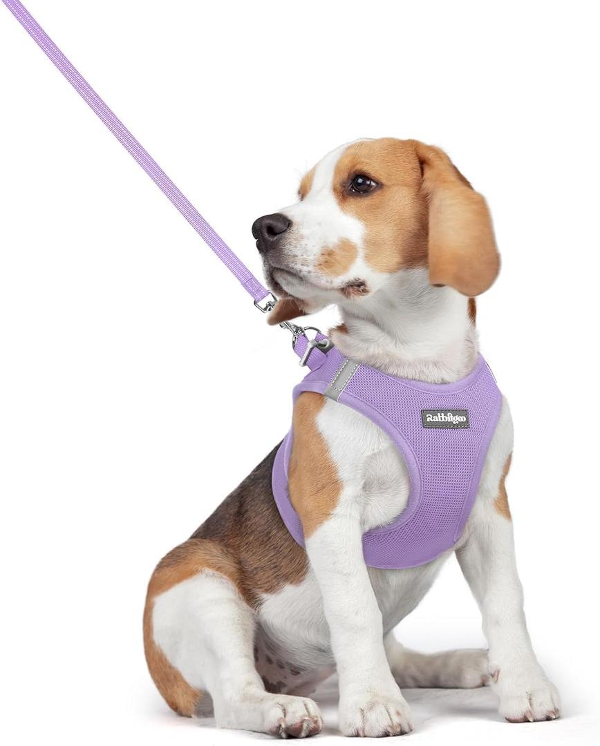 Rabbitgoo Dog Harness Small Medium Sized and Leash Set, Step in Soft Light Puppy Vest, Breathable Mesh Pet Harness, Reflective for Safe Easy Walking, Light Purple L (L (Chest: 18.2 - 20.5"))