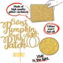 2 x Cutest Pumpkin in the Patch Cake Topper, Fall Pumpkin Birthday Decorations, Little Pumpkin Themed Baby Shower/Gender Reveal Party Decorations