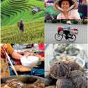 Vietnamese Food and Food Culture: A Life-Changing Journey through the Street Foods, Regional Cooking Styles and Local Ingredients of Vietnam