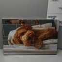 libitea 2 Pcs Funny Animal Bathroom Canvas Wall Art Cute Dog Reading Newspaper and Taking Bath on Toilet Art Print Humorous Bathroom Animal Painting Wall Decor for Dog Lovers Home Decoration