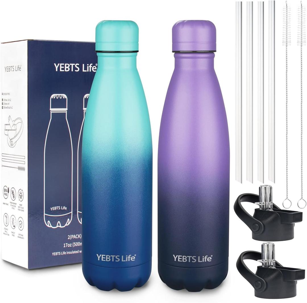 Insulated Water Bottle,2 Pack-17oz Stainless Steel Water Bottles with straw lid,Metal Sports Thermos Water Bottles for Boys,Girls,Double Wall Vacuum BPA-Free Flask for School(Purple-Ocean Dream)