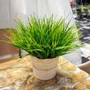 12 Bundles Artificial Plants Outdoor Fake Monkey Grass,UV Resistant Plant Decor, No Fade Realistic Greenery Plant for Window Garden Patio Hanging Planter Pathway Front Porch (Grass)