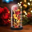 Mothers Day Mom Gifts for Women, Womens Gift for Birthday Gifts for Women Mom Wife Girlfriend, Light Up Rose in A Glass Dome, Rose Gifts for Valentines, Mothers Day, Womens Day (Red)