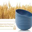 Large Soup Bowl 60 OZ, Wheat Straw Bowl Set of 6, Large Plastic Bowls Rusable, Microwave Safe Big Bowl for Fruit, Salad, Popcorn, Serving Bowls for Kitchen, Picnic, RV - Bule (Blue)