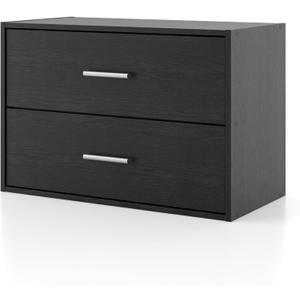 Homes: Inside + Out Apexa 2-Drawer Wooden Stackable Storage Drawers, Small Food Pantry Cabinet, Cajonera De Madera, Underbed Drawer Dorm Teen Room Decor & Bedroom, Home Office, Kitchen, Black