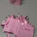 Mini Pink Gift Bags For Favors 20 Piece & Tissue paper