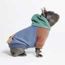 Spark Paws Dog Hoodie Premium Dog Sweater for Small, Medium, and Large Dogs | Warm Outfits for French Bulldogs, Pitbull, Puppy, Winter Jacket Alternative - Alpine - XL