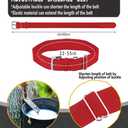 Thaplay Baseball/Softball Belt for Kids Boys Youth Men Women Adult (2 Pairs of Socks and Belt) With 2 Pairs Baseball socks (Red, M)