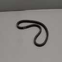 Golf Cart Drive Belt, Fit for Club Car DS, Precedent Gas Model, OEM#1014081, 1017188