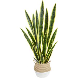 Artificial Snake Plant 3ft Fake Sansevieria with Woven Basket