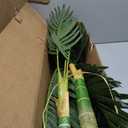 Nearly Natural 4 ft Artificial Golden Cane Palm Tree with Nursery Pot | Double-Stalk, Lush Realistic Foliage, Indoor Faux Palm Plant, Living Room Decor, Perfect Tropical Decoration