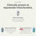 Timeline Mitopure Urolithin A Supplement Gummies - Clinically Proven Support for Healthy Aging Cellular Energy Muscle Strength and Longevity