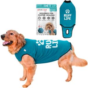 BellyGuard Recovery Suit for Dogs, Comfy Dog Surgery Suit, Female Spay and Male Neuter Onesie for Post-Op Care (X-Large, Blue)
