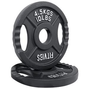 Fitvids Cast Iron Weight Plate 10lb , Set Of 4