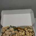 Beige Silk Flower Arrangements Home Decor, Large Floral Centerpieces For Tables, 22 Long Stems Fake Mums + Eucalyptus + Wild Flowers in Bulk, Artificial Flowers Coffee Dining Table, Faux Mums Flowers (Beige Wax+kiku)