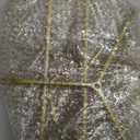 Liliful Christmas Metal Ornament Display Tree and Jewelry Organizer, 36 Inches Wire Ornament Stand Wrought Metal Christmas Tree Ornament Holder with 5 Tiers of Branches for Necklace Accessory, Gold