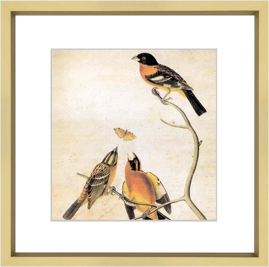 10x10 Picture Frame, Brass Metal Square Photo Frames with HD Glass, Fits 6x6 with Mat or 10 x 10 without Mat, Display for Wall and Table, 1 Pack