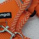 Cat Harness and Leash Escape Proof Large Kitten Harness Ragdoll Cat Vest for Walking Travel, Orange, L