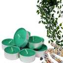 Tea Light Candles Colored Unscented Metallic Tin Cups Set of 54 Made in USA (Green)