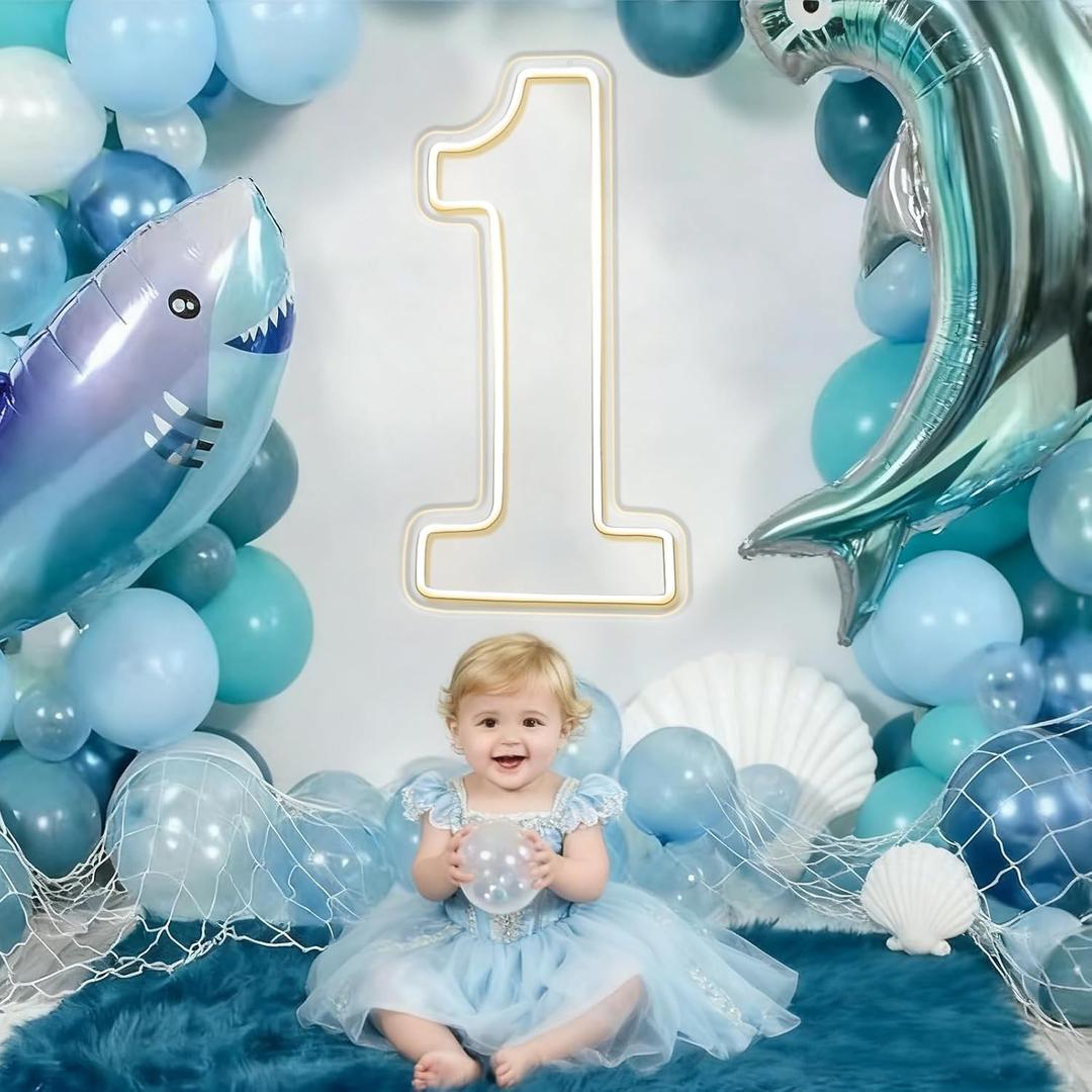 LED Acrylic Light up Number, Decorative Transparent Light up Letters USB Powered Big Number Sign Light for Birthday, Night Light, Party, Anniversary, Christmas, Home Decor, Wedding 12'' (number1)