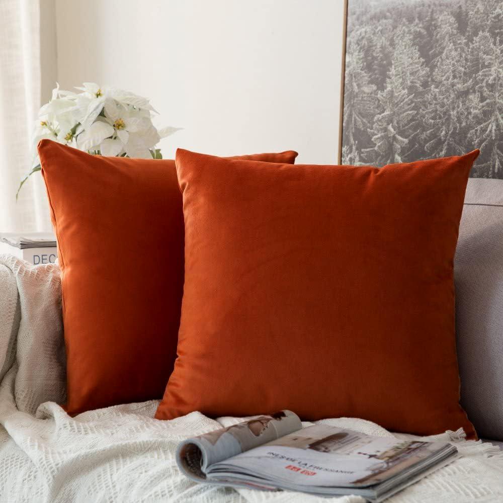 MIULEE Pack of 2 Burnt Orange Pillow Covers 18x18 Inch Soft Velvet Throw Pillow Covers Fall Decorative Couch Pillows Square Cushion Covers Pillowcases Home Decor for Sofa Bedroom Couch
