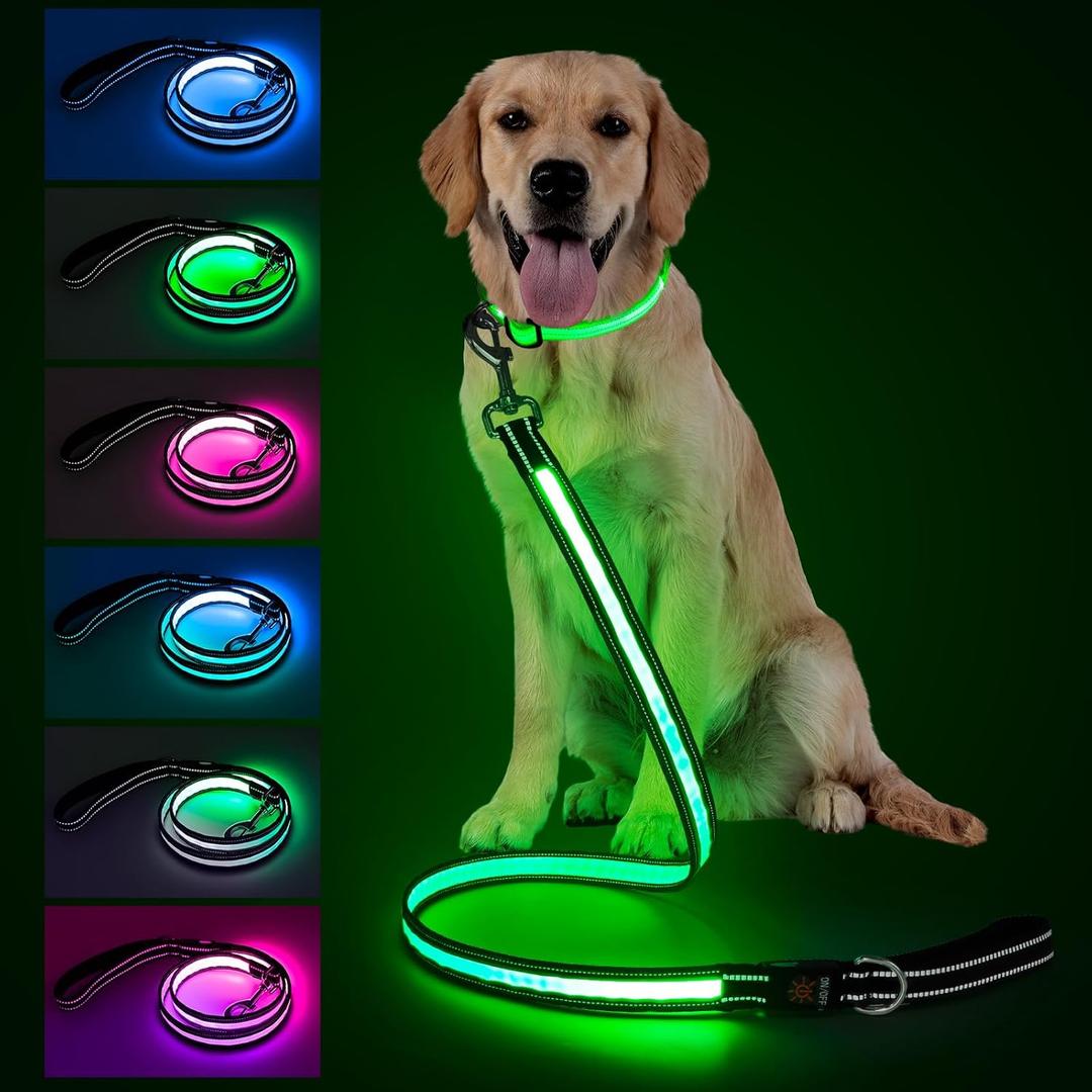 4 Ft LED Dog Leash, Light Up & Lighted Dog Leash, 7 Lighting Modes, Glow in The Dark, Reflective, Double-Sided Light, Rechargeable with Padded Handle for Night Walking Safety, Small to Large Pets