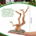 AceOrbit Large Driftwood for Aquarium, 8.5-11.5 Inch Spider Wood on Slate Stone, Natural Spiderwood Aquarium Driftwood Aquascaping Wood for Reptile Enclosure, Terrarium, Reptile Tank, Fish Tank Decor