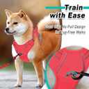 BARKBAY Dog Harness No Pull Mesh for Large Dogs - Adjustable, Reflective, Comfortable, No Choke, Heavy-Duty - Perfect for Outdoor Training, Walking, and Hiking - Strong & Durable - L & Red Mesh