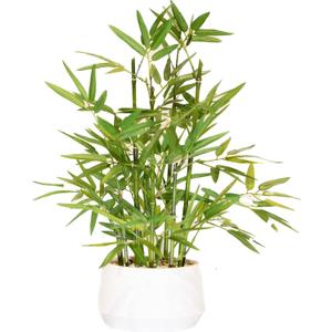 365 Blooming Decor 18 inch Tall White Potted Faux Bamboo Plant- Luxury Artificial Bamboo Tree in White Pot for Home, Office, Kitchen, Counter Top, Indoor Decor, Money Tree, Lucky Bamboo Tree. (Green/ White)