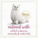 Fancy Feast Purina Gourmet Naturals Salmon and Shrimp (12 Pack) 3 oz (EXP 06/29/28)