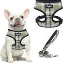 PUPTECK Soft Mesh Dog Harness and Leash Set Pet Puppy Cat Comfort Padded Vest No Pull Harnesses, Green/Yellow, M (NECK: 14", CHEST: 17"-21"))